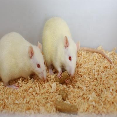 China Viable Frozen Mice And Rats For Lizard / Carnivores / Birds Of Prey / Amphibian All Size Available for sale