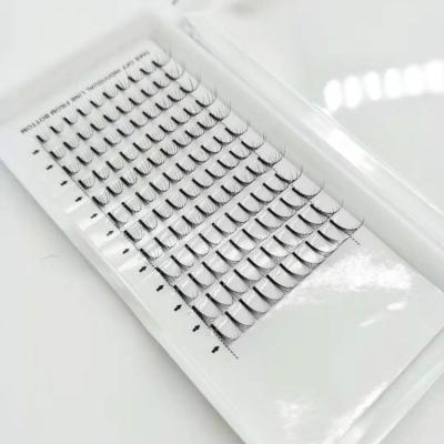 China New Style 3d 4d 5d Premade Natural Individual Volume Lashes Extension Fans Volume Eyelash Extension for sale