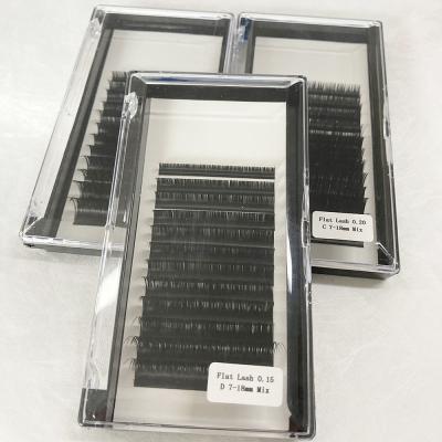 China Soft and Natural Wholesale Matte Black Eyelash Extensions Super Different OEM Ellipse Flat Eyelash Extensions for sale