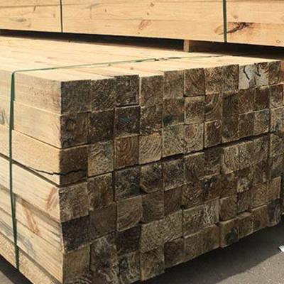 China Modern Building Material Poplar Timber Supply Lumber for sale