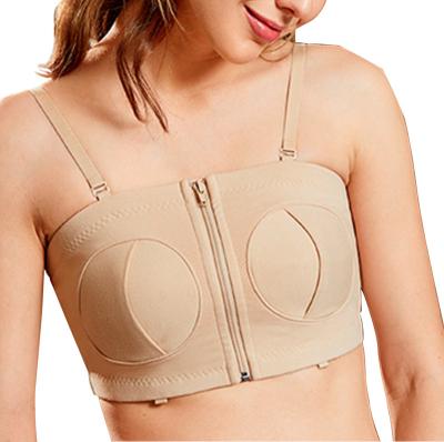 China Anti-Drip Gathering Antibacterial Comfortable Nurturing Front Button Breastfeeding Maternity Bra Cotton Pregnant Woman Underwear Plus Size for sale