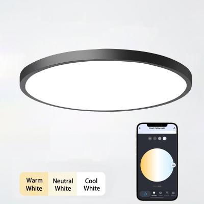 China Dimmable App Control Energy Saving Surface Mounted Decoration Outdoor Ultrathin Color Changing Smart Led Ceiling Lamp for sale