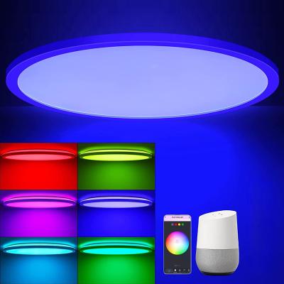 China Outdoor Mounted Smart Eye Protection Round RGB Smart Outdoor Mounted Aluminum Remote Control Anti-glare Round Led Ceiling Light for sale