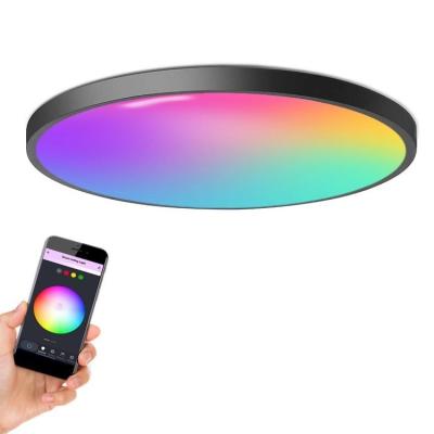 China Wholesale New Design Outdoor Black Modern Surface Mounted Ultrathin Remote Control Natural Light Led Ceiling Lamp for sale