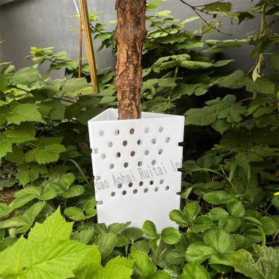 China Eco-friendly Customized Outdoor Polypropylene Tree Guards Vine Protection PP Plastic Corrugated Hollow Sheet for sale