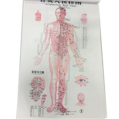 Cina Grafico inglese 7PCS della parete di agopuntura per grafico umano stabilito di agopuntura in vendita