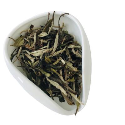 China Best Selling Bai Mu Dan White Peony White Tea Loose Tea In Lowest Price for sale