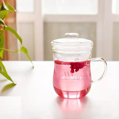 China Sustainable Heat Resistant Glass Mug With Glass Infuser For Flower Teas, Glass Tea Cup for sale