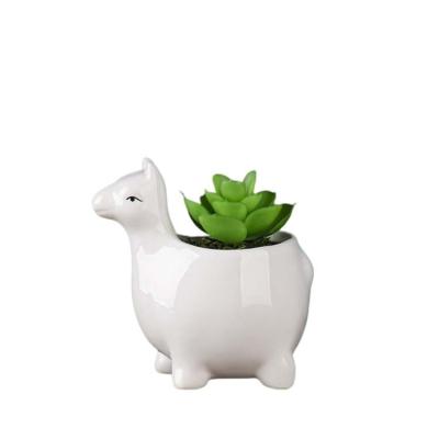 China China Handmade Wholesale Succulent Animal Nursery Decoration Ceramic Potted Plant for sale