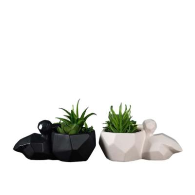 China Handmade Artificial Wholesale Succulent Animal Ceramic Potted Plant for sale