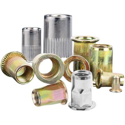 China Pan Stainless Steel Open End Rivets Screw Blind Strip Blind Nut For Structure for sale