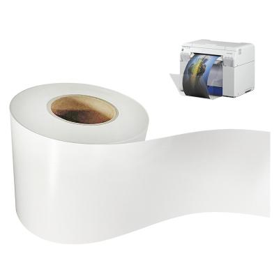 China 0.305*100m Dry Minilab Photo Paper RC Silky Mini Roll Noritsu Fuji Dry Printer en venta