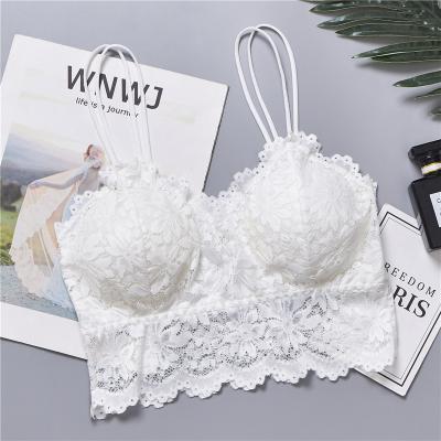 China QUICK DRY sexy top comfortable bra lace girl seamless wireless crop underwear for women for sale