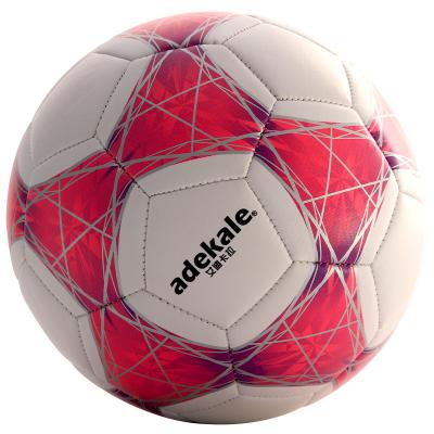 China Color Change Color Change In Sun Soccer Ball S008 Purple for sale