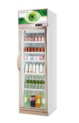 Cina dispositivo di raffreddamento commerciale della bevanda 480L 50/60hz/verticalmente refrigeratore di vetro della porta in vendita