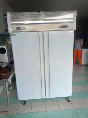 Cina Fener refrigerante Commerciale cucina verticale congelatore vegetale frigorifero a rotelle in vendita