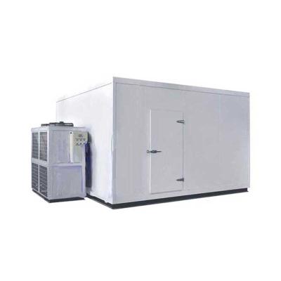 China Medical Cold Storage Room / Orange Fruits Spring Onion Air Blast Freezer for sale