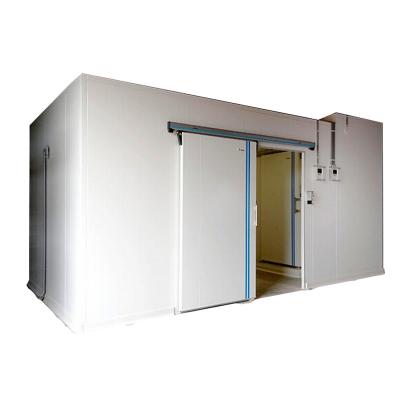 Chine Insulated Doors Cold Room with Energy Saving for Fish Storage Food Storage Cold Room à vendre