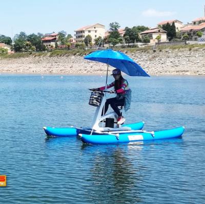 China Lake New Design WaterBike Inflatable Water Bike Pedal Float Boat For Sale for sale