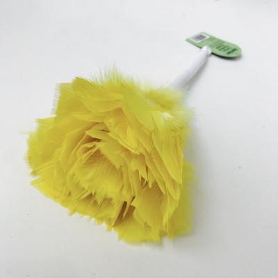 China Picture Frames Ostrich Feather Wipes For Household Cleaning for sale