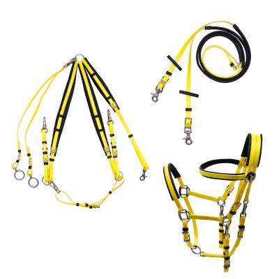 China Waterproof Full Set Horse Equestrian Endurance Racing English Bridle Reins Horse Equestrian PVC Halter Reins and Martingale for sale