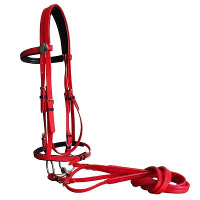 China Adjustable Equestrian Horse Riding PVC Halter Stainless Steel Bits Bridle and Halter for Horse for sale