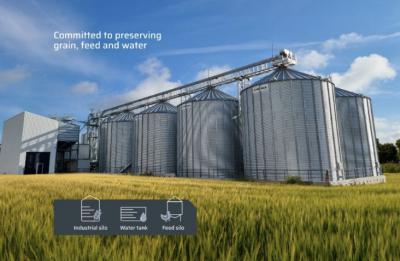 China Silos de armazenagem de alimentos para animais de grande capacidade Silos de alimentação para frangos de exploração pecuária Silos de alimentação para frangos 5000 toneladas à venda