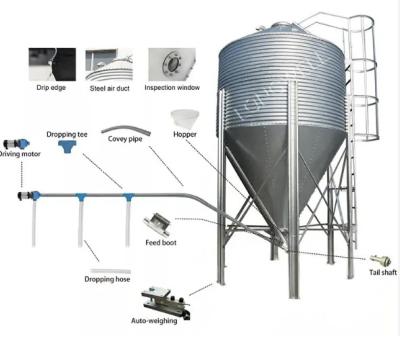 China Conveyor Animal Feed Storage Silos Hopper Bottom Galvanized Steel Silo for sale