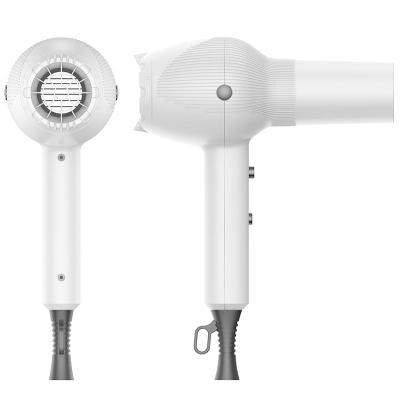 China Hair Salon Ionic Professional Hairdresser Dryer AC Motor Blowing Ionic Hair Dryer for sale