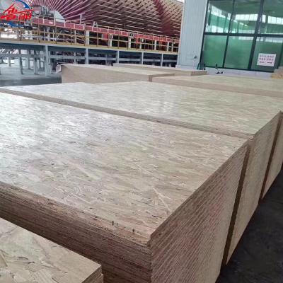 China 11mm OSB precio china 9.5mm osb para competitivo osb para chili environment friendly for sale