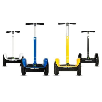 China Lead Acid Battery 2 Wheel Personal Transporter Scooter Self Balancing Electric Scooter For Outdoor Sports for sale