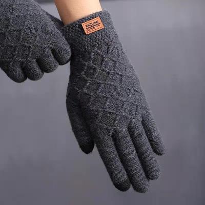 China Fashion Winter Simple Plush Thickened Knitted Outdoor Cycling Mittens Games Gloves For Men for sale