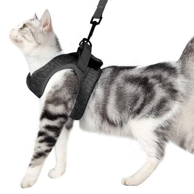 China Manufacturer Custom Wholesale Cat Harness for Cat Harness for sale