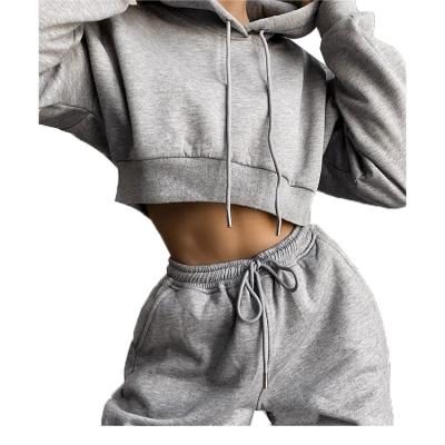 China 2021 New Breathable Autumn Jogger Wholesale Women's Hoodies Shorts China Fashion Sets for sale