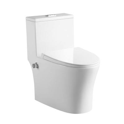 China Double-Flow Modern Design Bathroom Washdown Bidet Rimless One Piece Toilet for sale