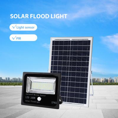 China Hotop Factory Cheap Price High Quality Sports Stadiums Outdoor Light With Polysilicon Panel Motion Sensor Function Solar Led Flood Light for sale