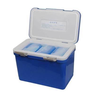 China Injection Molded Beverage Insulated Cool Box Tough And Durable 12L 420 * 240 * 300mm for sale