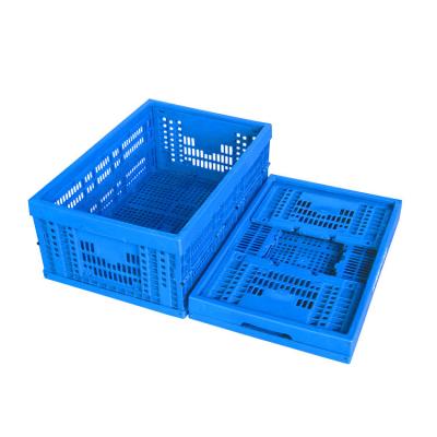 China Plastic Collapsible Plastic Containers For Vegetable Fruit Crates Standard Size for sale