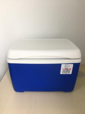 China Customized Color 8L Insulated Cooler Box Household Convenient Use Virgin PP EPS Foam for sale