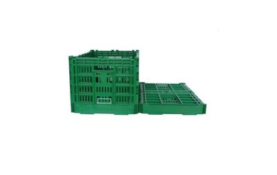 China Cajón plástico plegable verde grande de encargo para el material vegetal de los PP de la Virgen de la fruta en venta