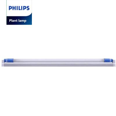 China Seed Starting 2021 New LED Grow Light Body 24W Blue White Lamp For Balance Plant Growth And Ornamental Plants PHILIPS LED T5 24W for sale