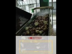 After-sales Service Provided Sweet Potato Making Machine for Customized and Production