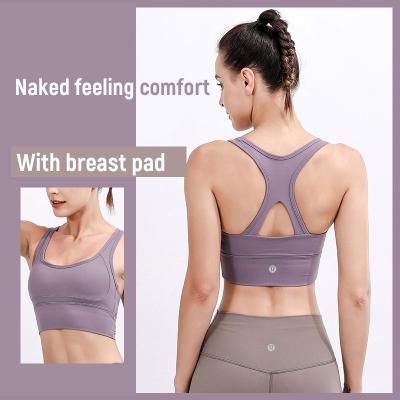 China Breathable Custom Logo Yoga Wear Sports Bra Crop Top Plus Size Underwear for sale