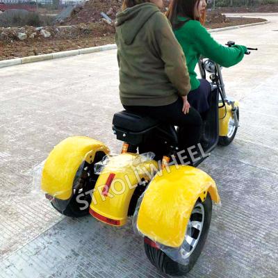 China New Arrival 1200W Electric Tricycle 3 Wheel Electric Mobility Citycoco For Adult 18X9.5inch for sale