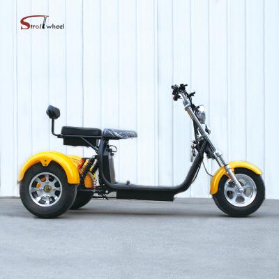 China 2019 hotsale 3 wheels golf scooter citycoco electric scooter with golf bag holder can 18X9.5inch removable battery for sale