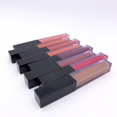 China Waterproof Lip Gloss Logo Customize Private Label Customized Colors for sale