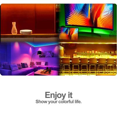 China Residential Room Decoration LED Strip Light Multi Color With Remote USB Powered Led Strip Lights for sale