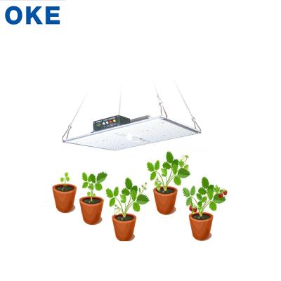 China Seed Starting Factory Wholesale Price 3 Year Warranty 100W Input Current Max 1.15A Led Grow Light For Indoor Plants for sale