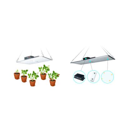 China Seed Starting 3 Years Warranty Bestseller 200W Led Long Light Full Spectrum Plant Growth Light For Commercial Gardening for sale