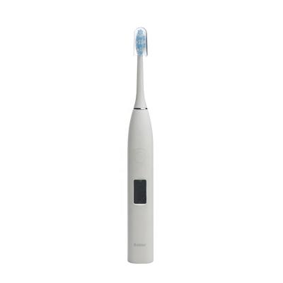 China China Factory Sale Super Quality Eco-friendly Acoustic Electric Toothbrush Motor Portable Electric Toothbrush for sale